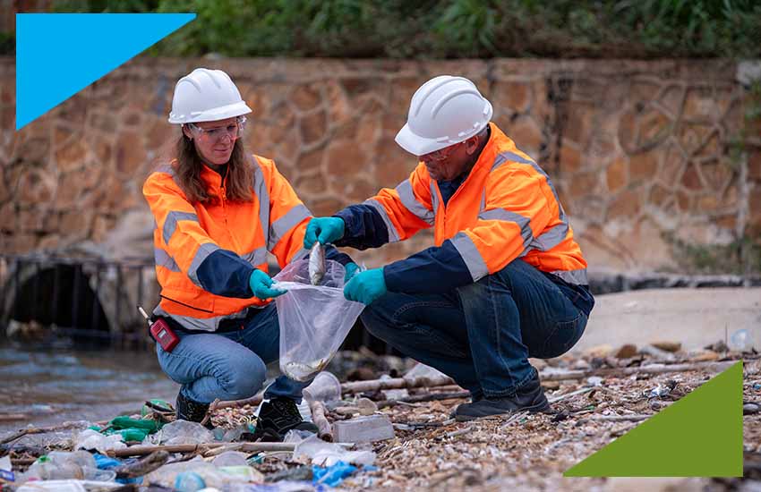 Environmental cleanup crew collecting debris after a flood, representing on-demand workforce for disaster recovery companies.